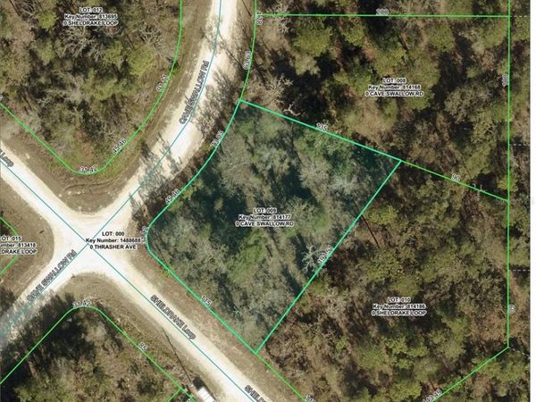 16008 CAVE SWALLOW ROAD , BROOKSVILLE, FL 34614