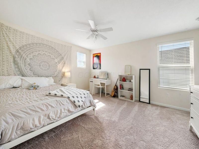 259 Lemming Drive, Sunbury, OH 43074 Photo 39