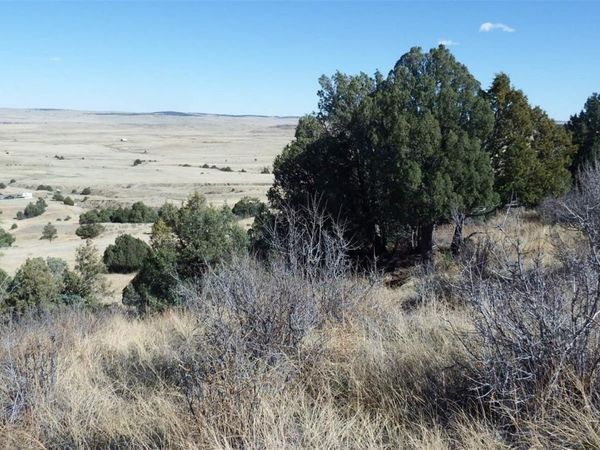 35584 Comanche Creek Road , Kiowa, CO 80117