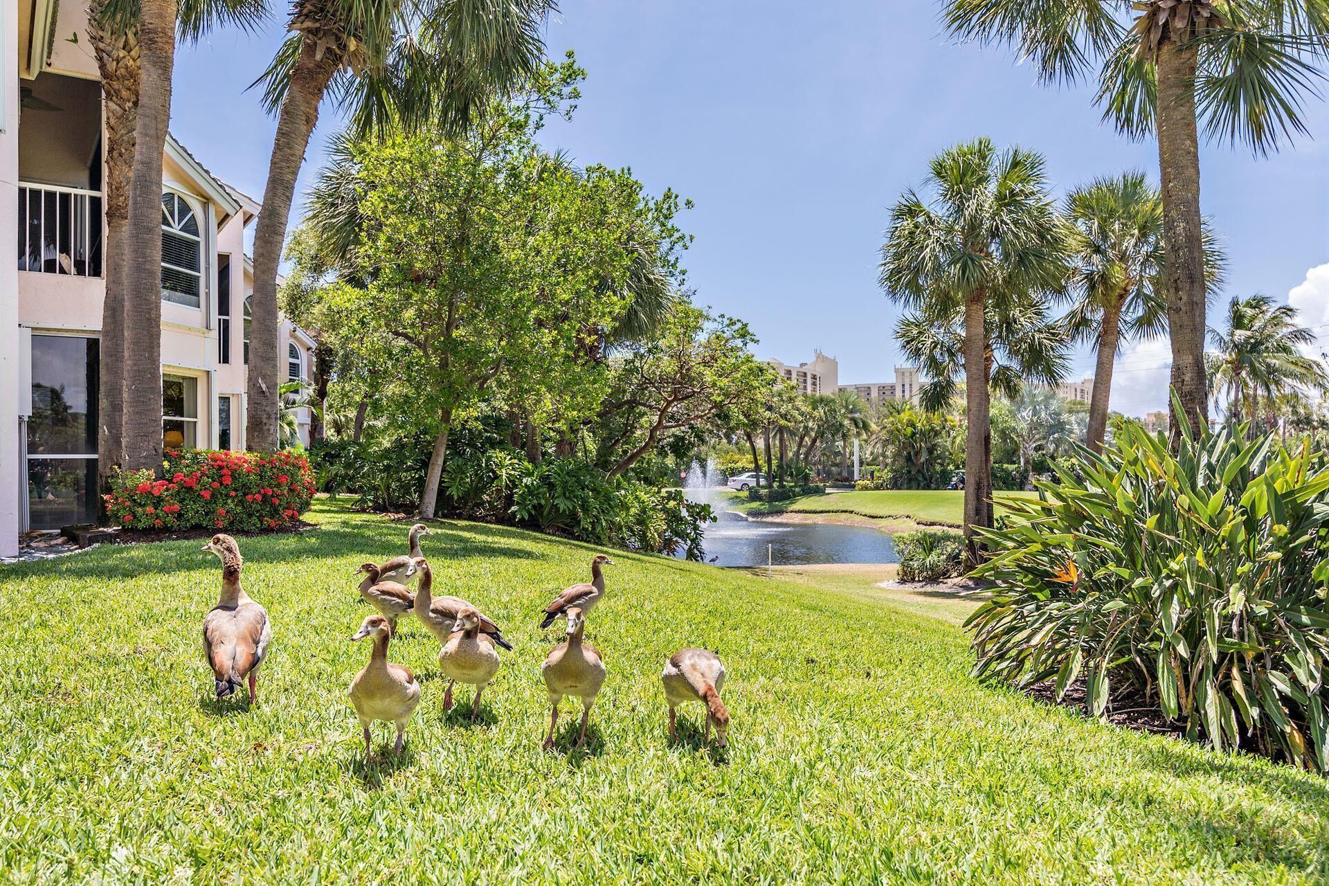 4409 N Fairway Dr Drive N, Jupiter, FL 33477 Photo