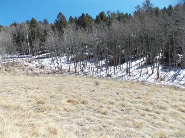 388 Grey Eagle Drive , Cripple Creek, CO 80813