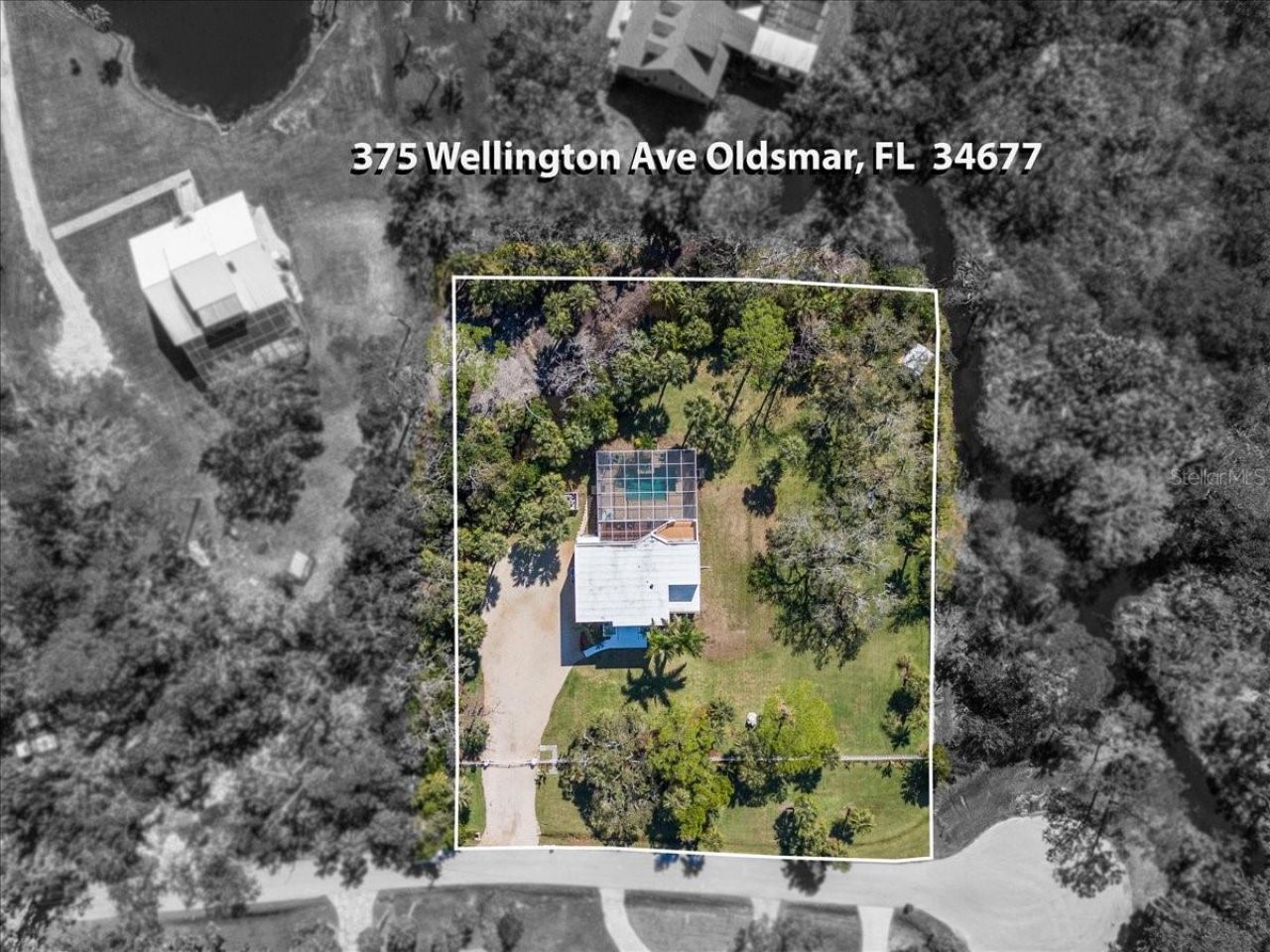 375 Wellington Avenue, Oldsmar, FL 34677 Photo