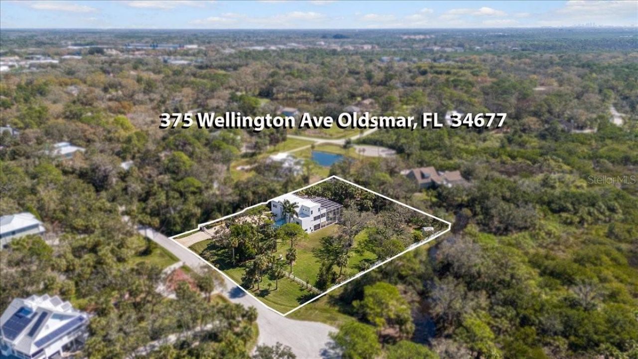 375 Wellington Avenue, Oldsmar, FL 34677 Photo