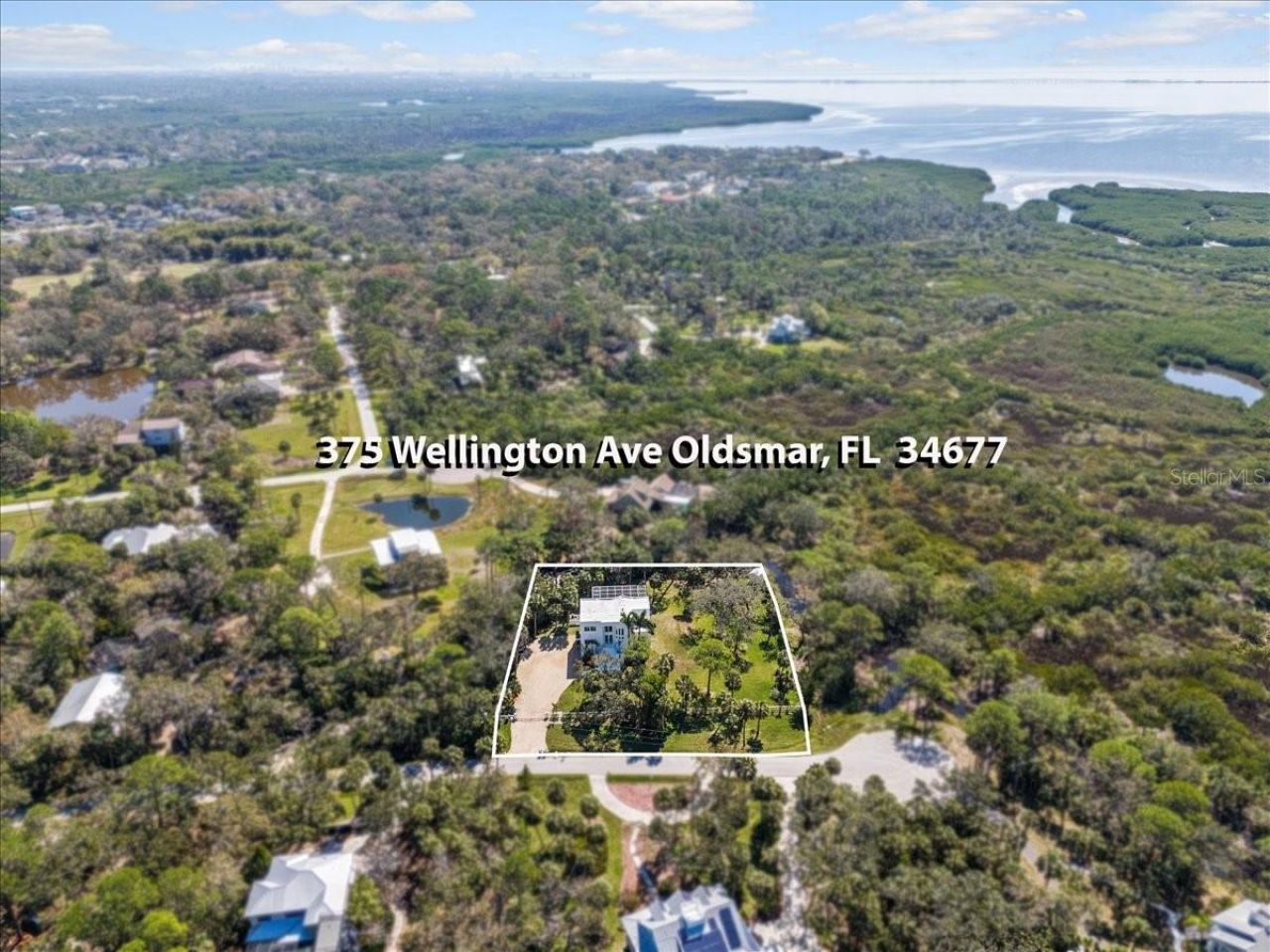 375 Wellington Avenue, Oldsmar, FL 34677 Photo