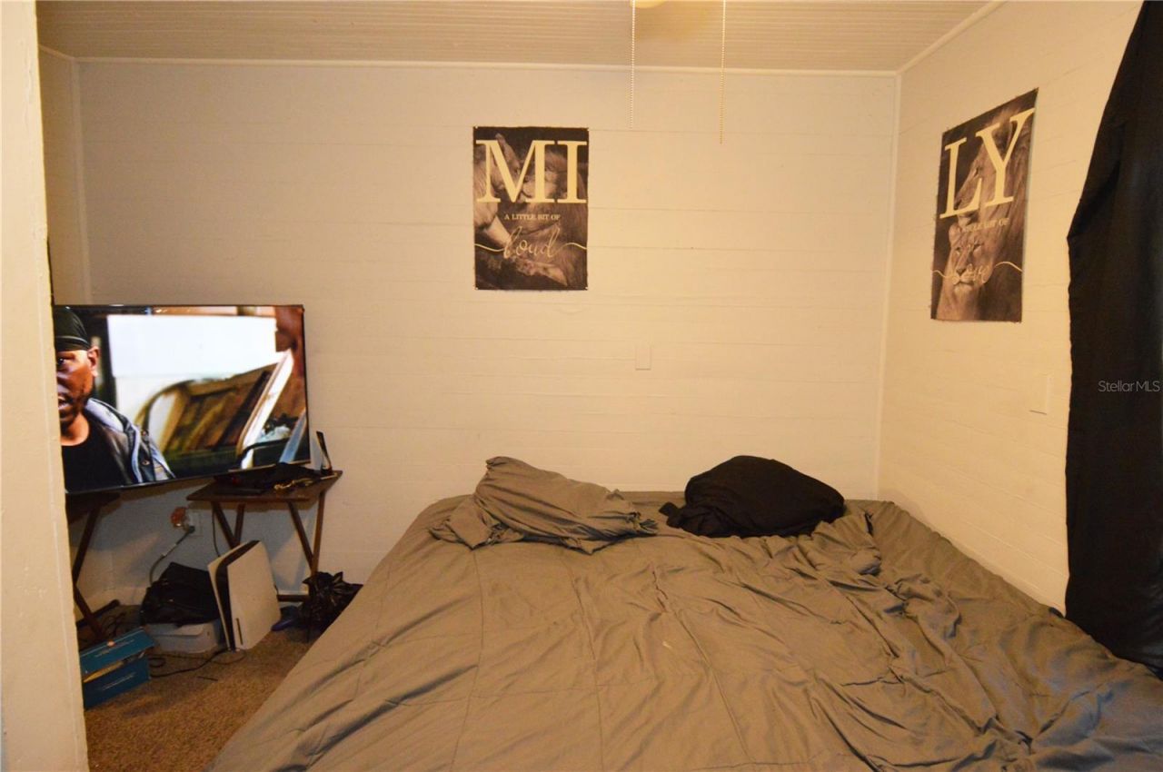 1244 20th Avenue S, Saint Petersburg, FL 33705 Photo