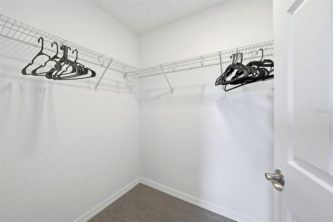 7073 Graybrook Drive, Wesley Chapel, FL 33545 Photo