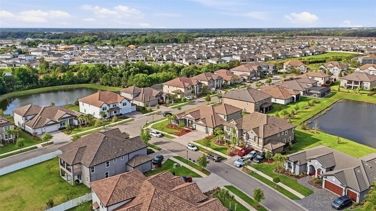 7073 Graybrook Drive, Wesley Chapel, FL 33545 Photo