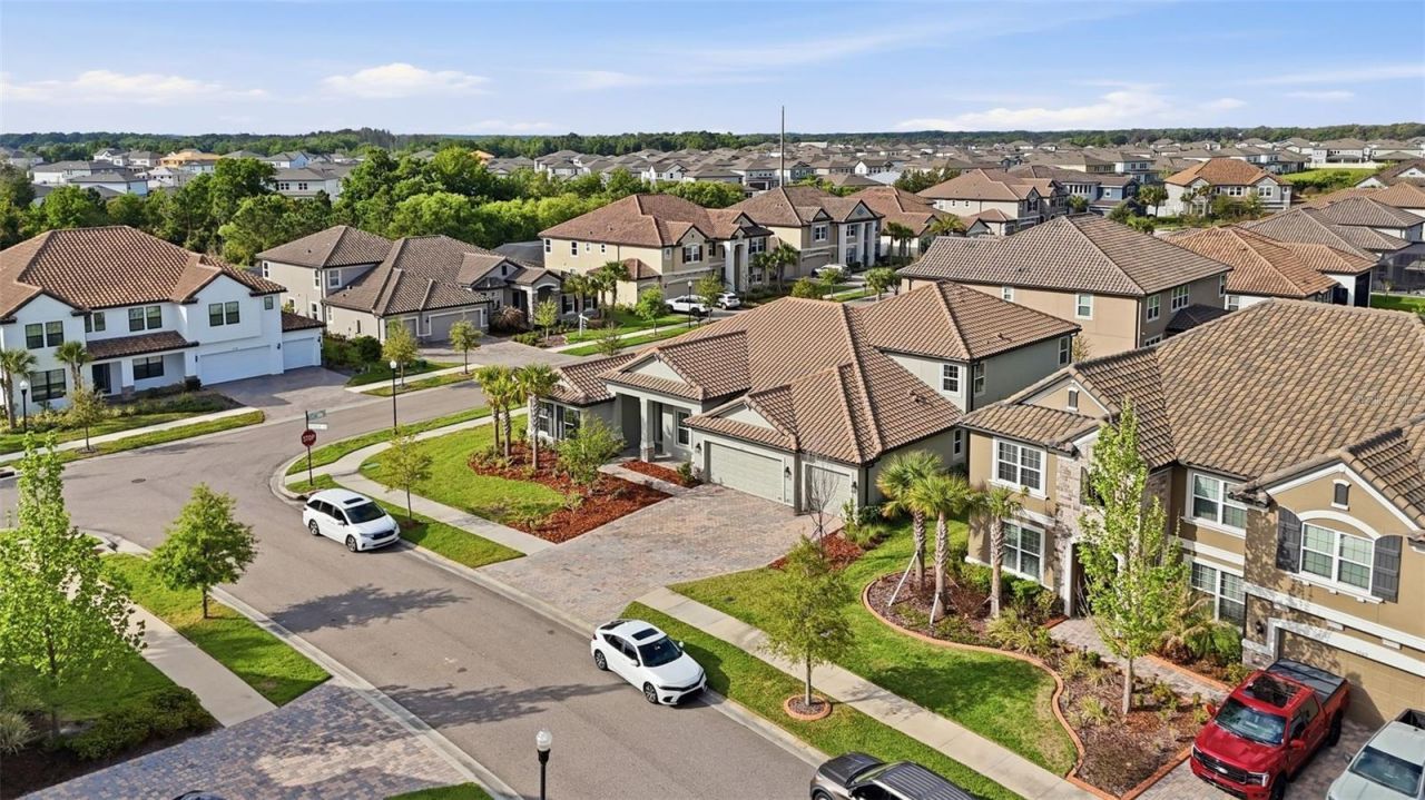 7073 Graybrook Drive, Wesley Chapel, FL 33545 Photo