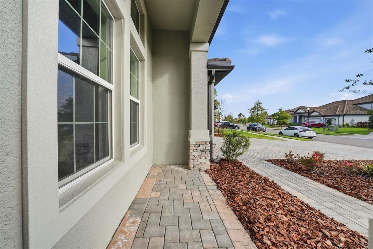 7073 Graybrook Drive, Wesley Chapel, FL 33545 Photo