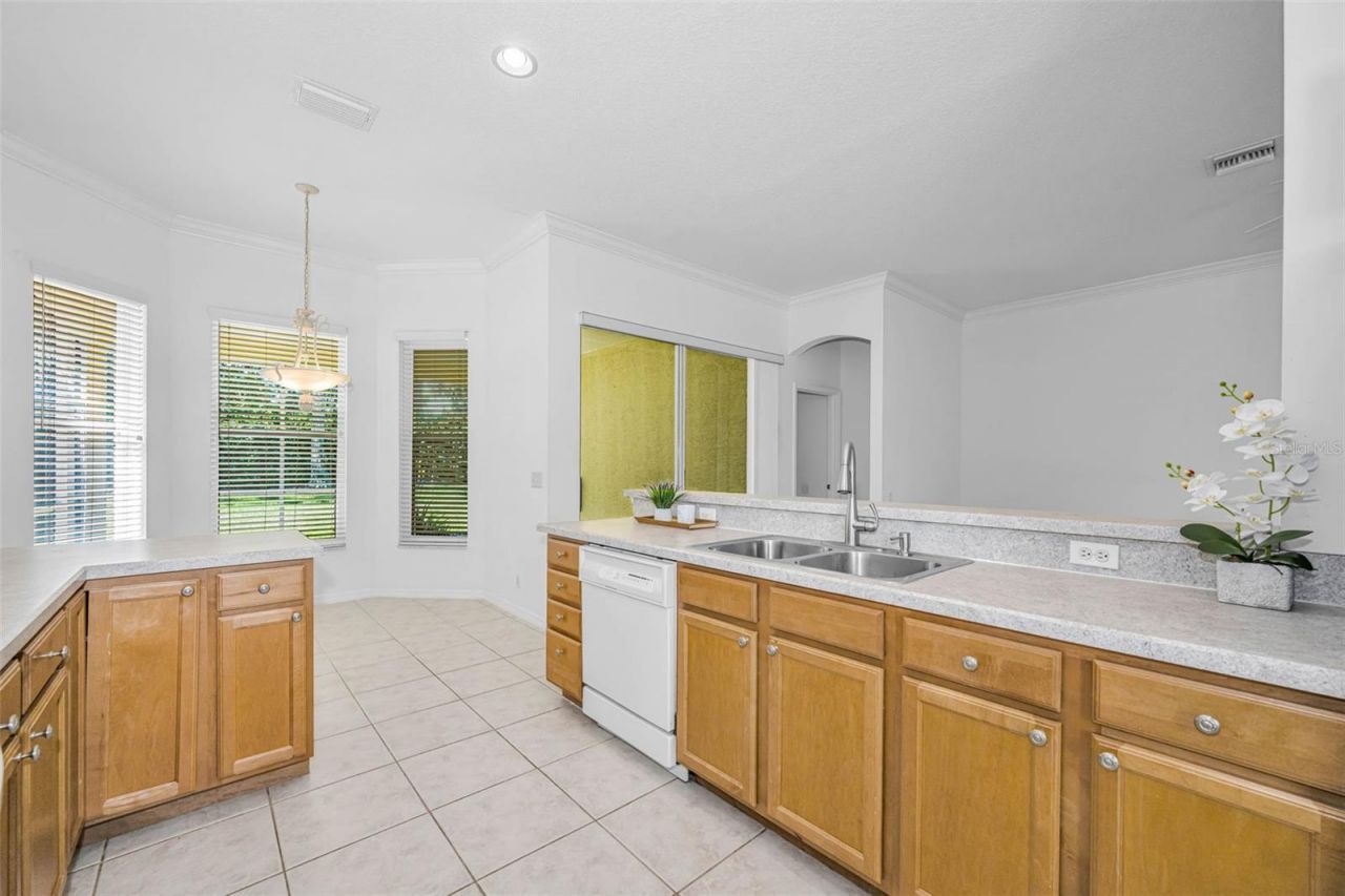 10324 Sorenstam Drive , Trinity, FL 34655 Photo