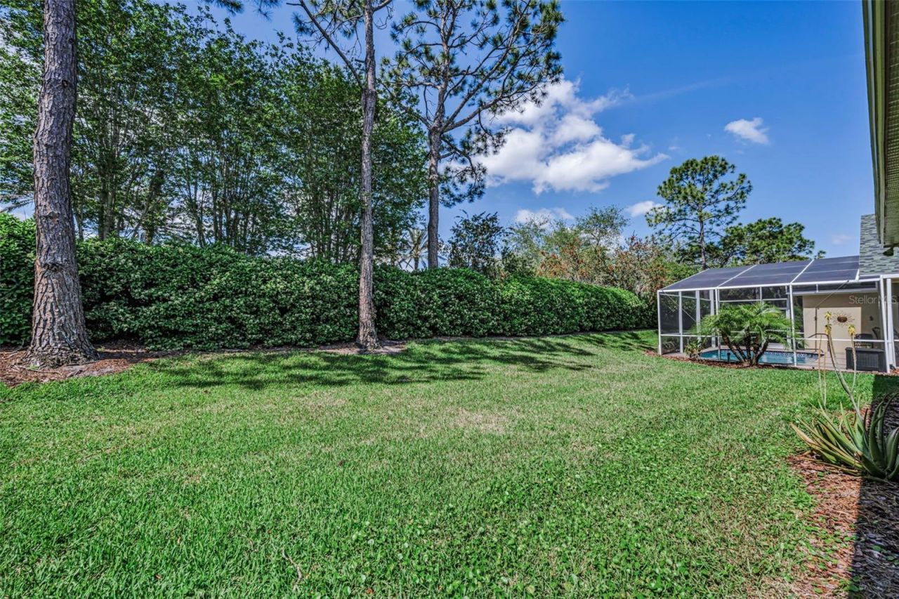 10324 Sorenstam Drive , Trinity, FL 34655 Photo