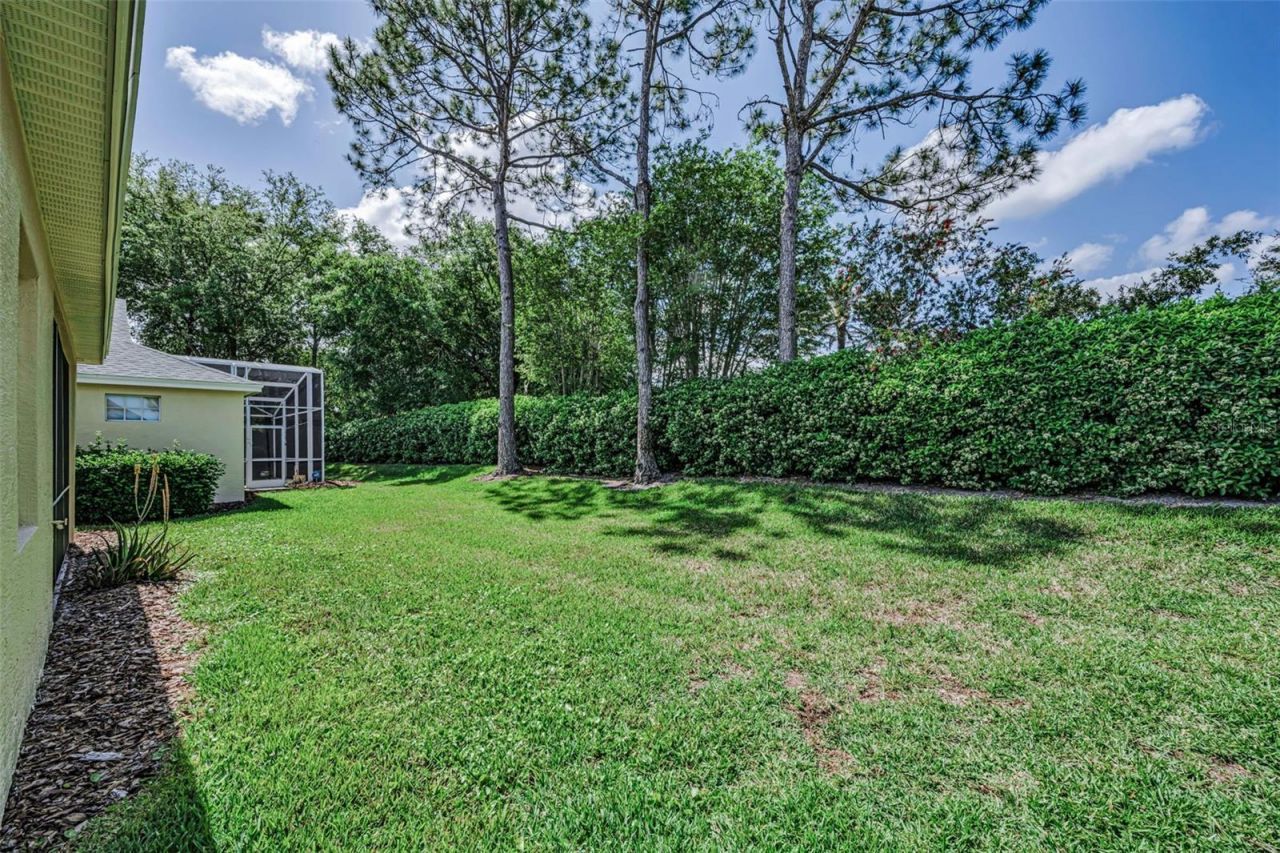 10324 Sorenstam Drive , Trinity, FL 34655 Photo