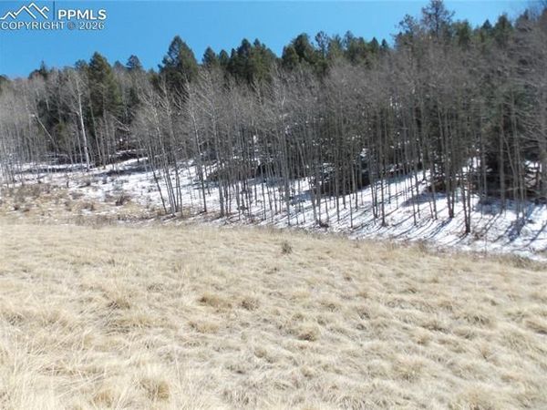 388 Grey Eagle Drive, Cripple Creek, CO 80813