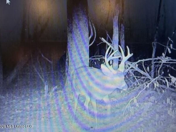 Mississippi 41, Pontotoc, MS 38863