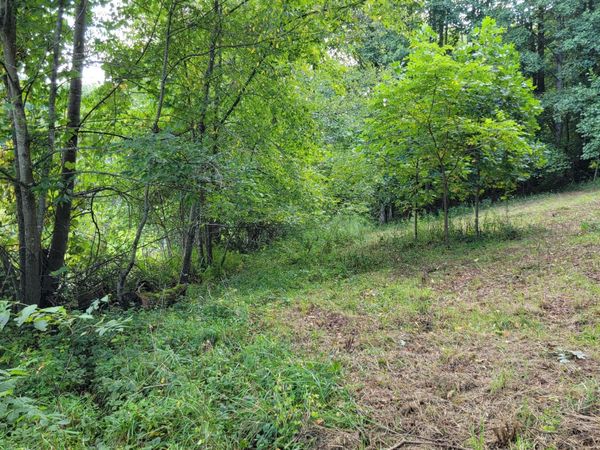 00 Dry Stone Branch Road, Mountain City, TN 37683