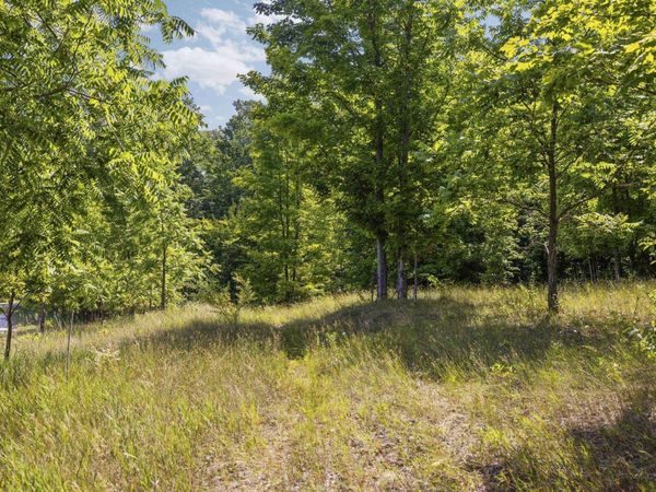 Hill Road S, Cedar, MI 49621