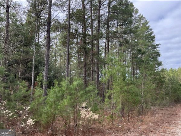 0 Long Ford Road, Jesup, GA 31546