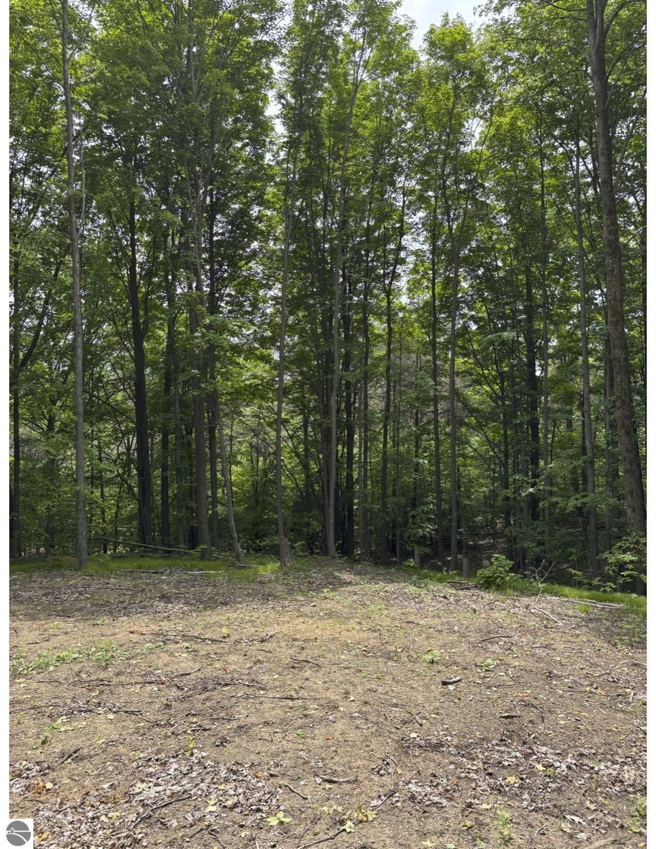 45 Road N, Manton, MI 49663 Main Photo