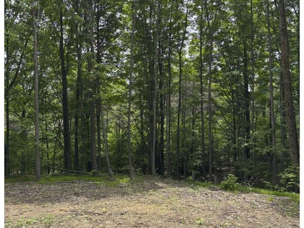 45 Road N, Manton, MI 49663