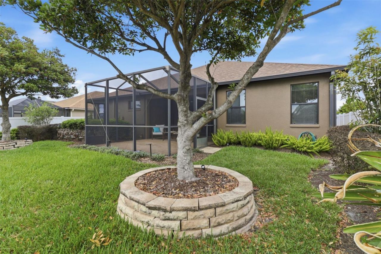 34144 Spring Oak Trail , Wesley Chapel, FL 33545 Photo