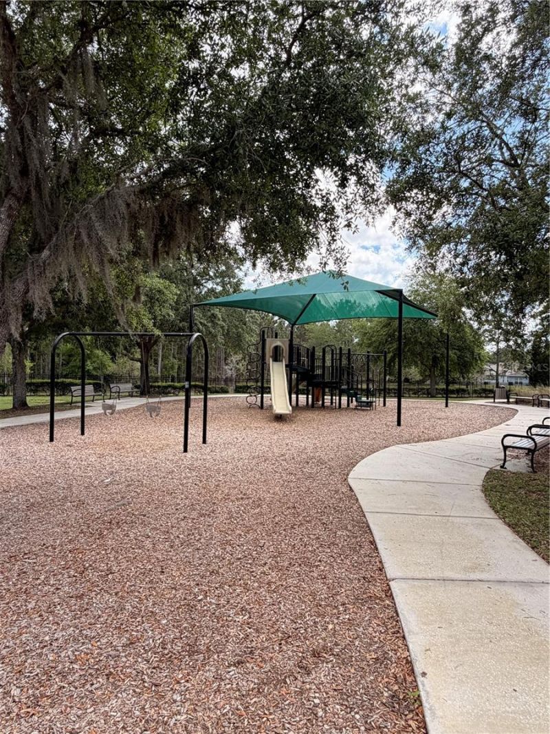 34144 Spring Oak Trail , Wesley Chapel, FL 33545 Photo