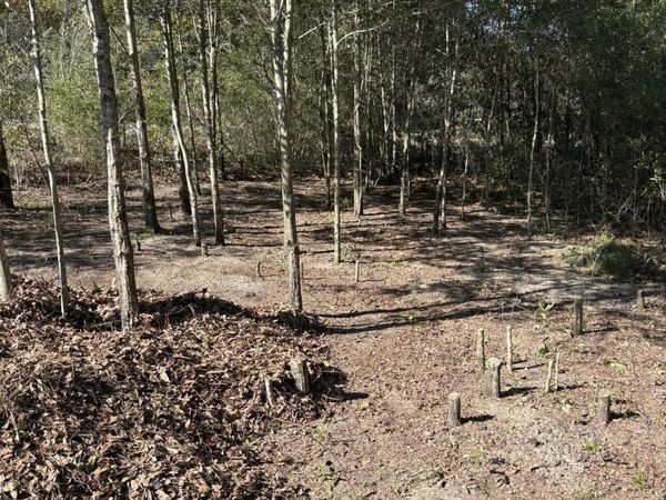 105 Eagle Court, Crestview, FL 32539