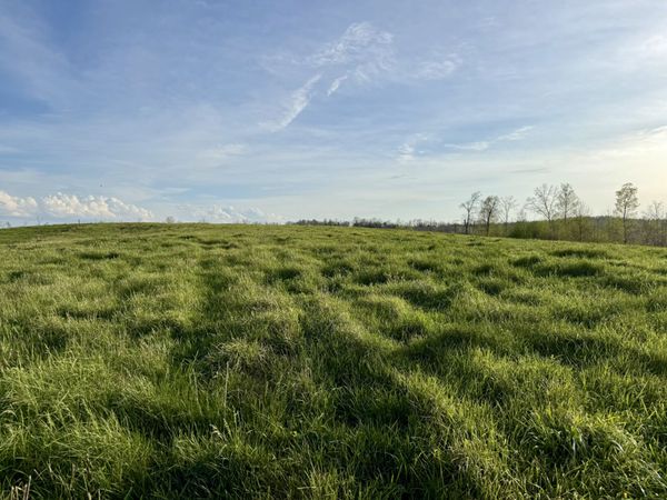 0 Brigham Branch Road , Erin, TN 37061