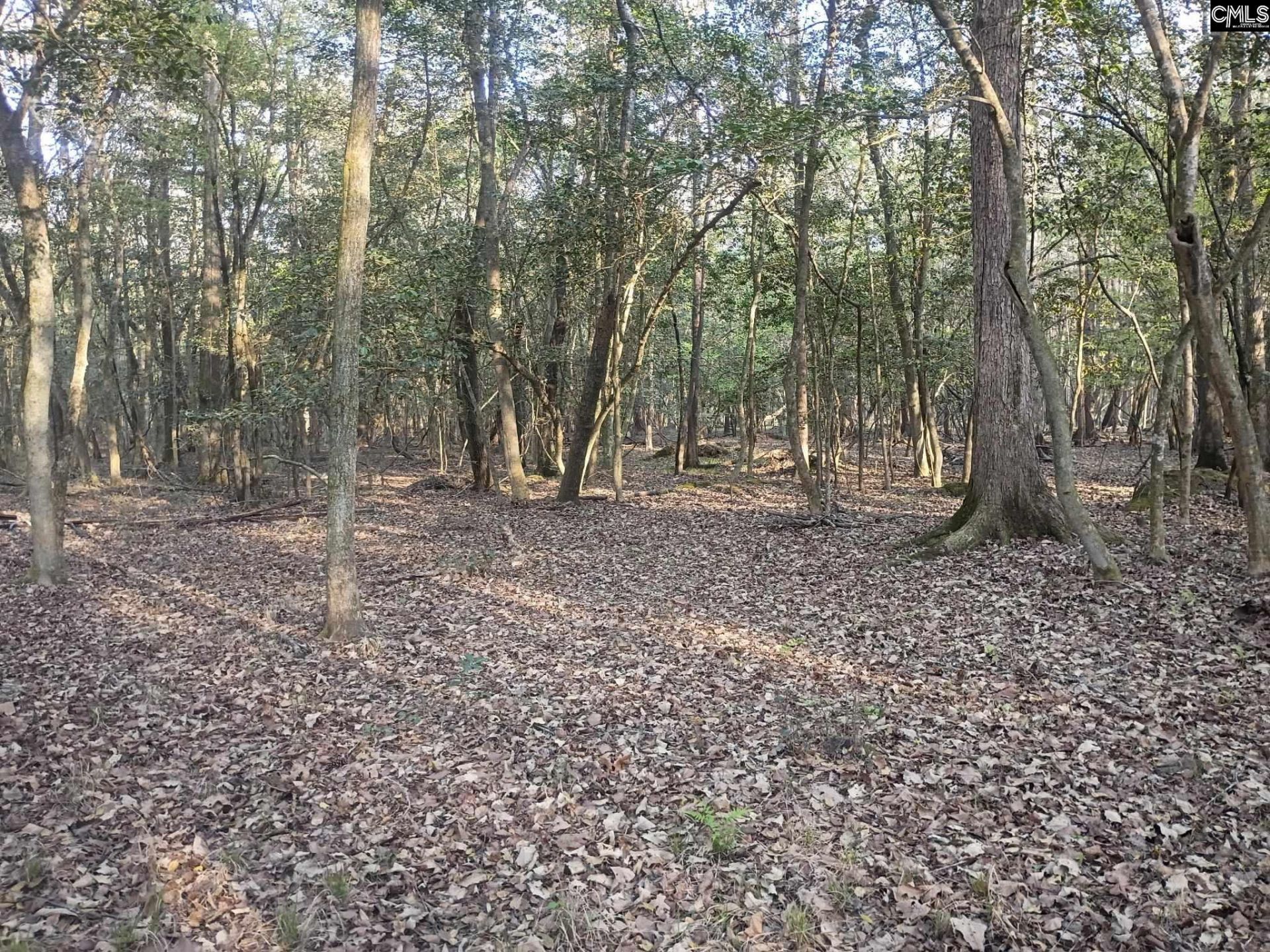 3244 Highway 1 N Photo 10