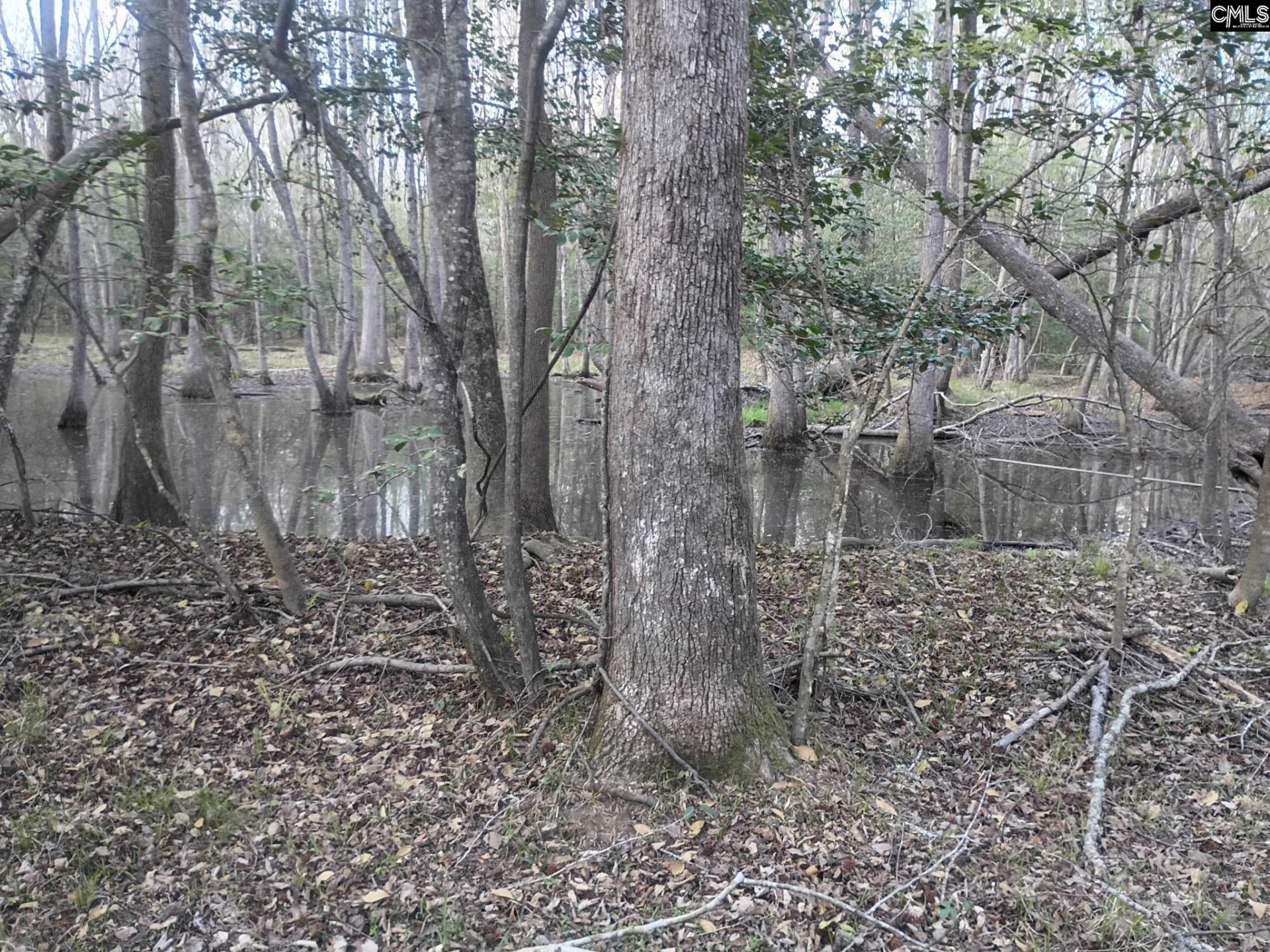 3244 Highway 1 N Photo 11