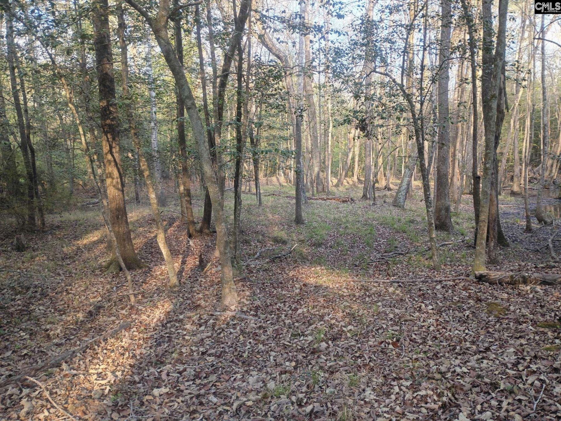 3244 Highway 1 N Photo 12