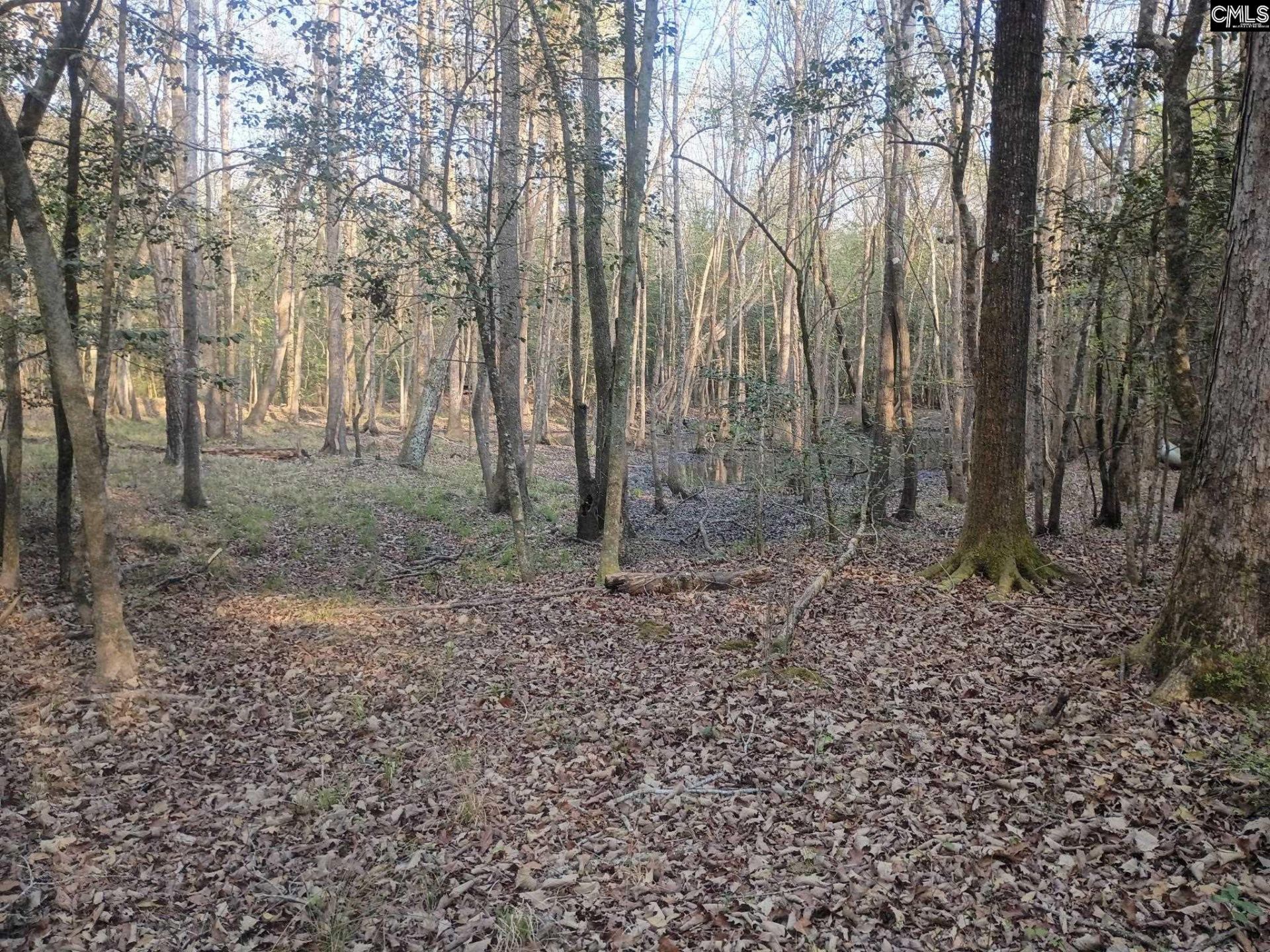 3244 Highway 1 N Photo 13