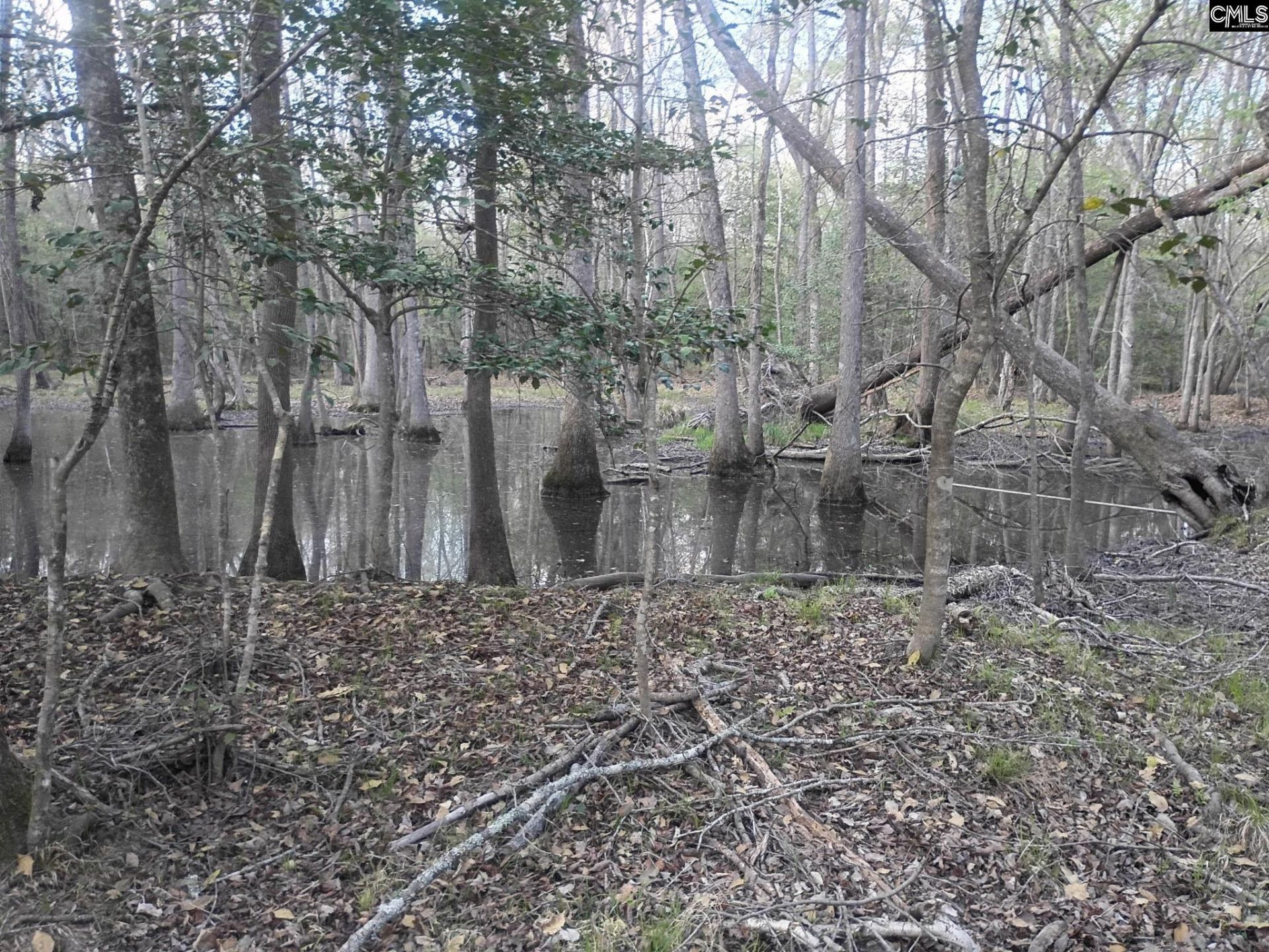 3244 Highway 1 N Photo 17