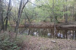 3244 Highway 1 N photo 4