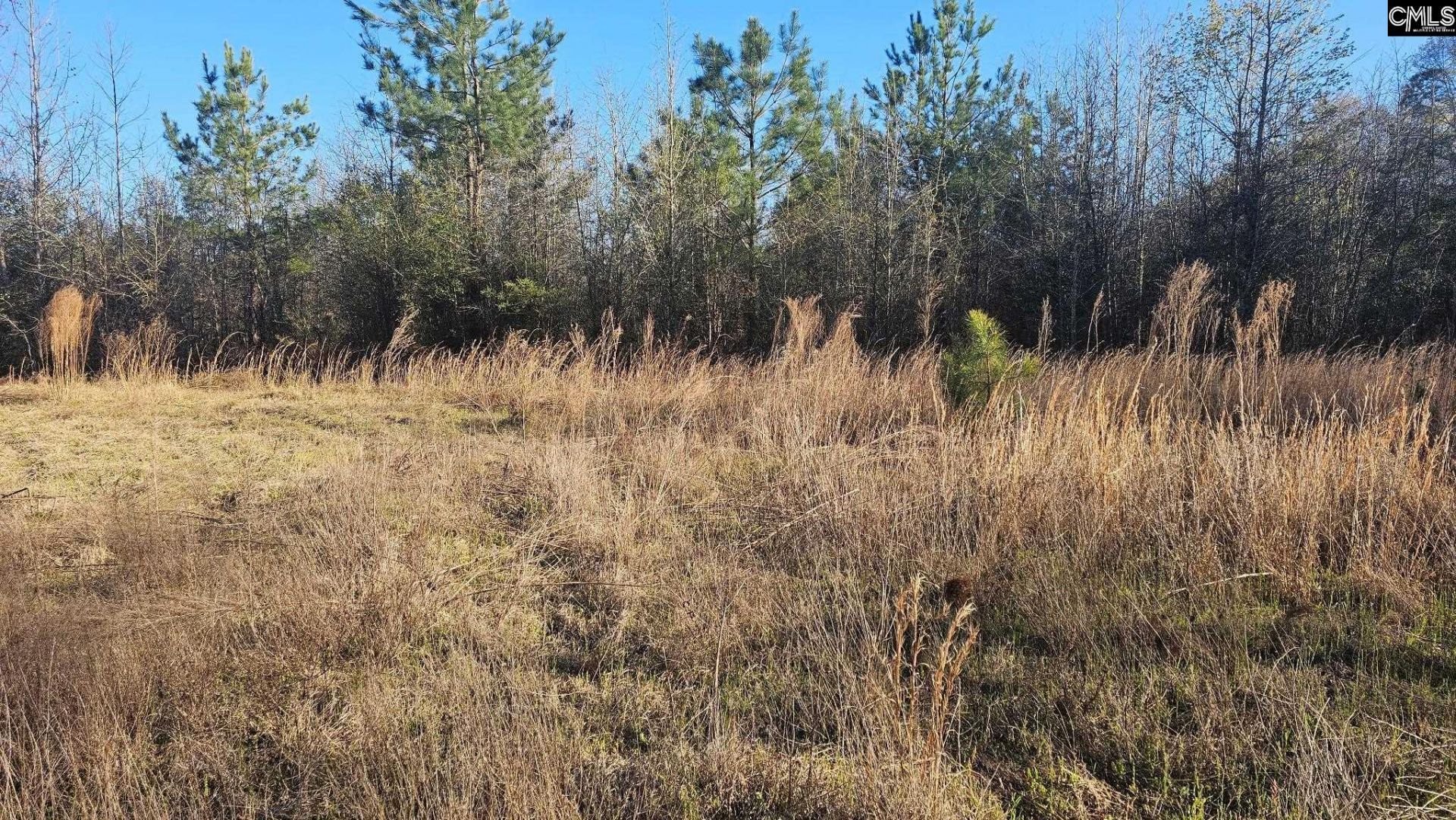 3244 Highway 1 N Photo 21