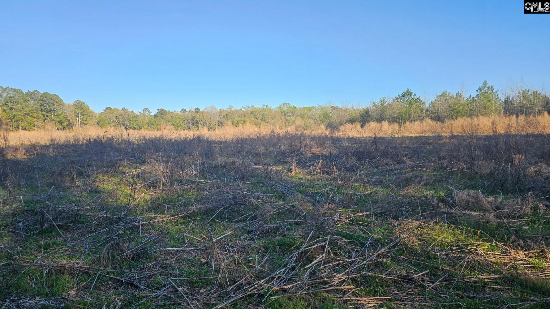 3244 Highway 1 N Photo 22