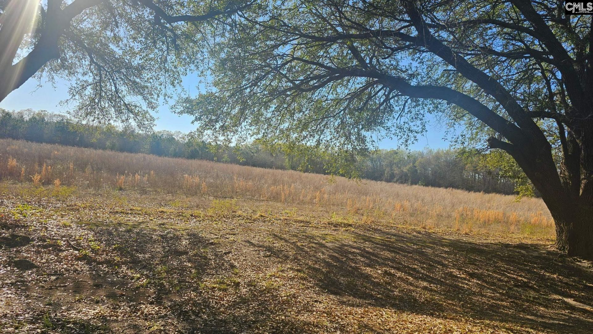 3244 Highway 1 N Photo 24