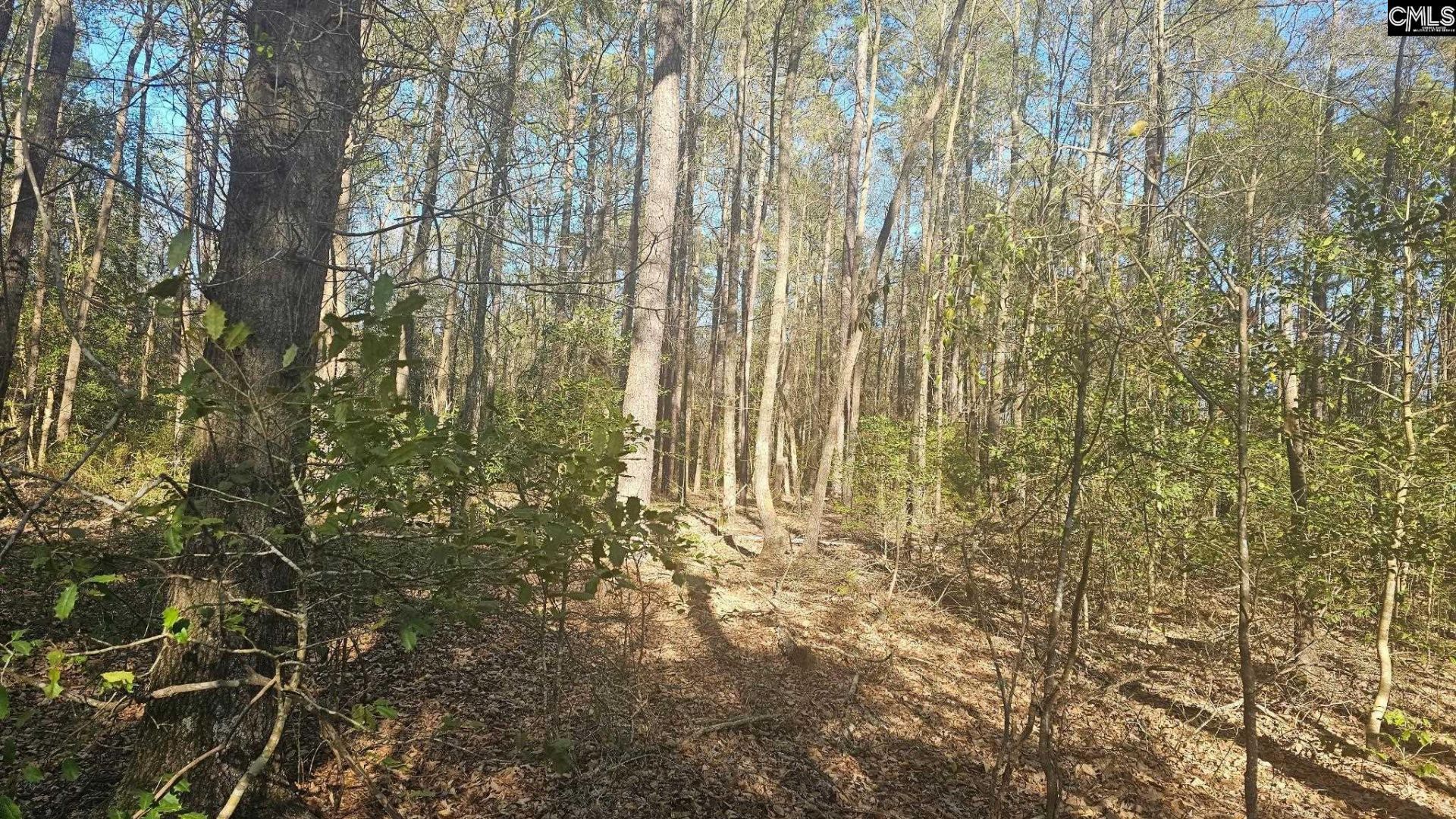 3244 Highway 1 N Photo 25