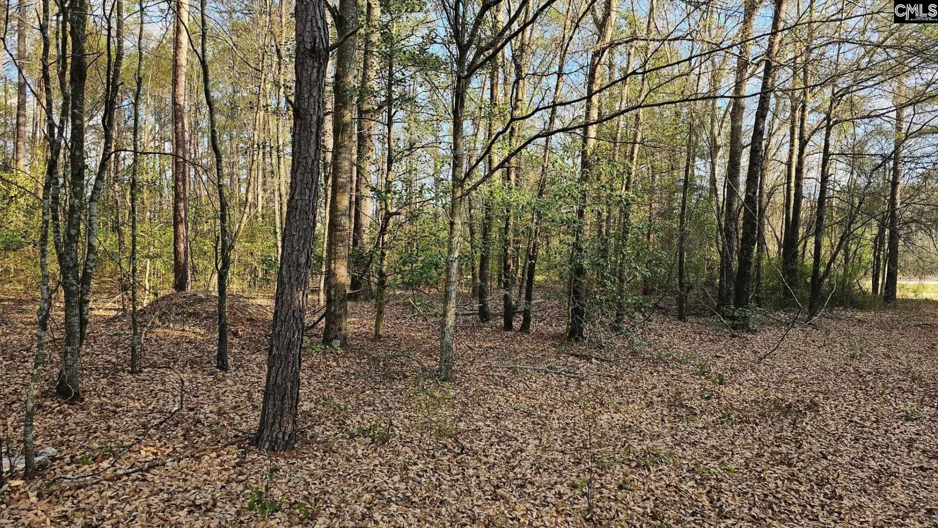 3244 Highway 1 N Photo 26