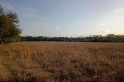 3244 Highway 1 N photo 4