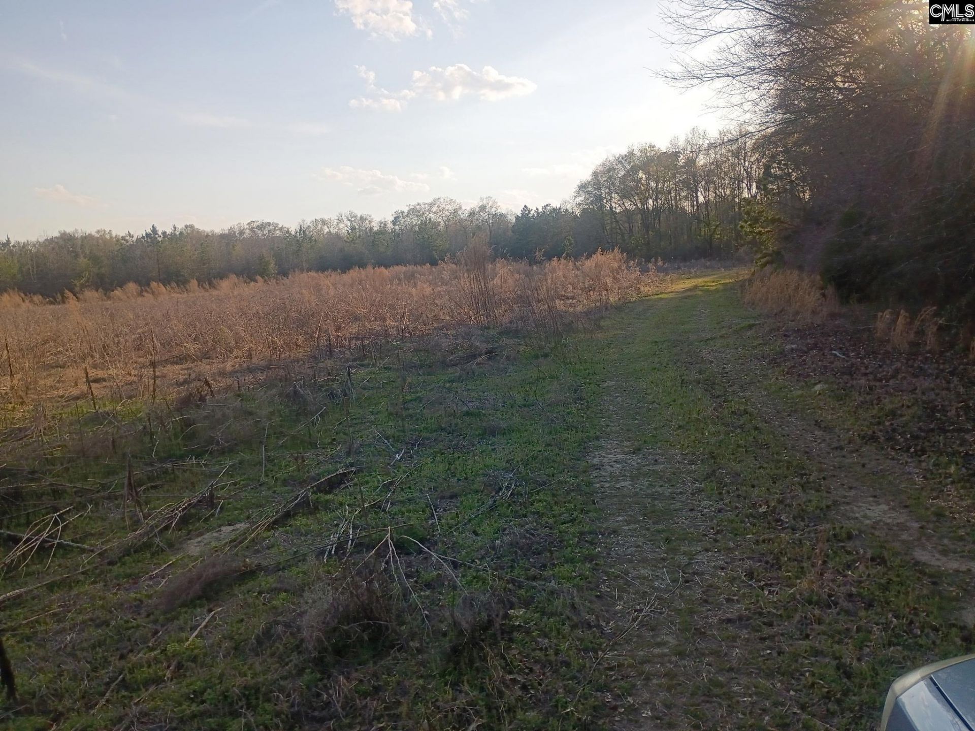 3244 Highway 1 N Photo 4