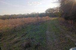 3244 Highway 1 N photo 4