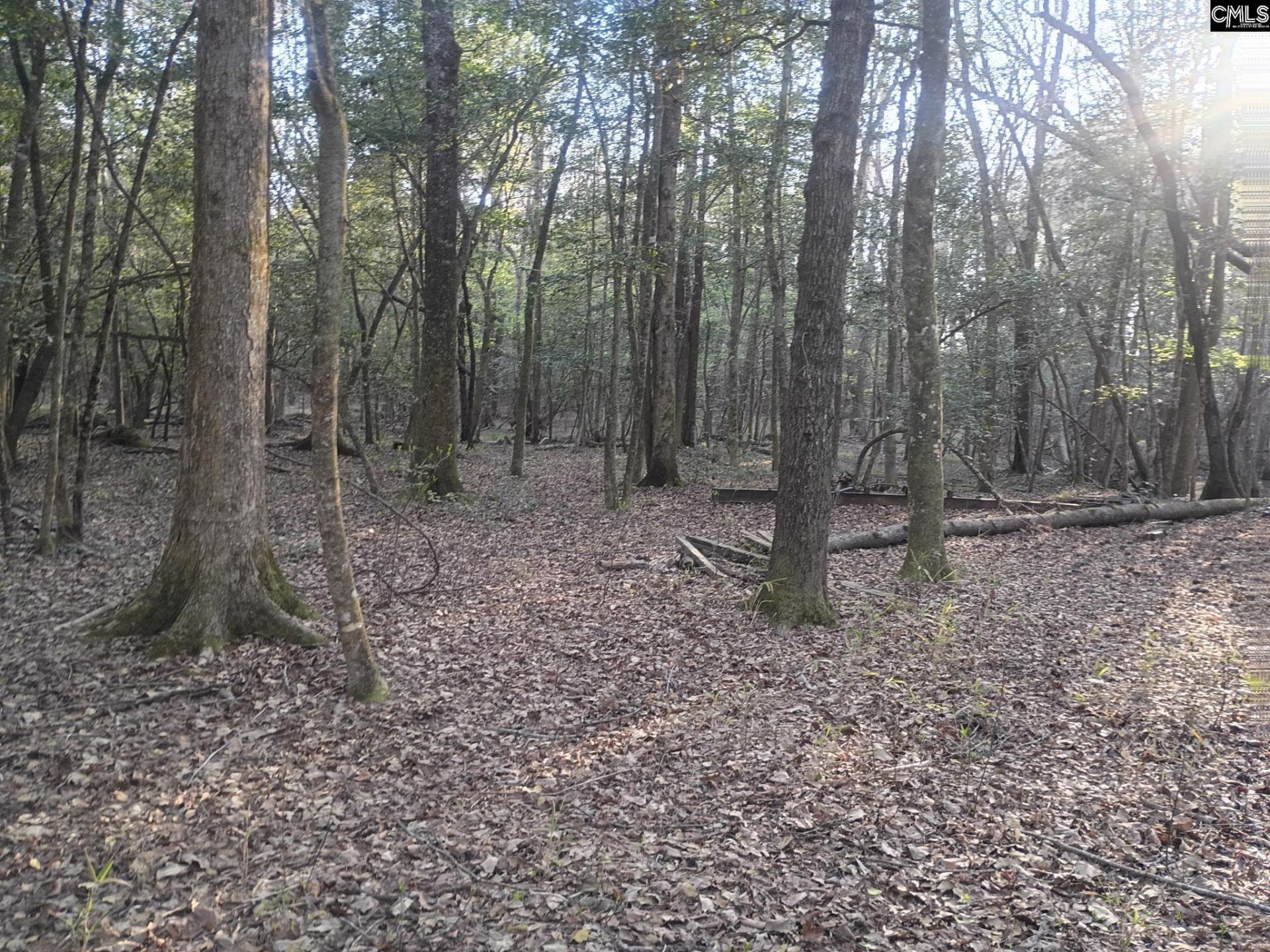 3244 Highway 1 N Photo 5