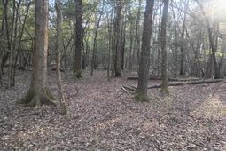 3244 Highway 1 N photo 4