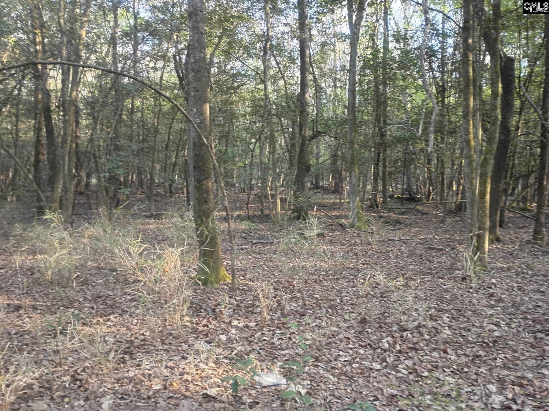 3244 Highway 1 N Photo 6