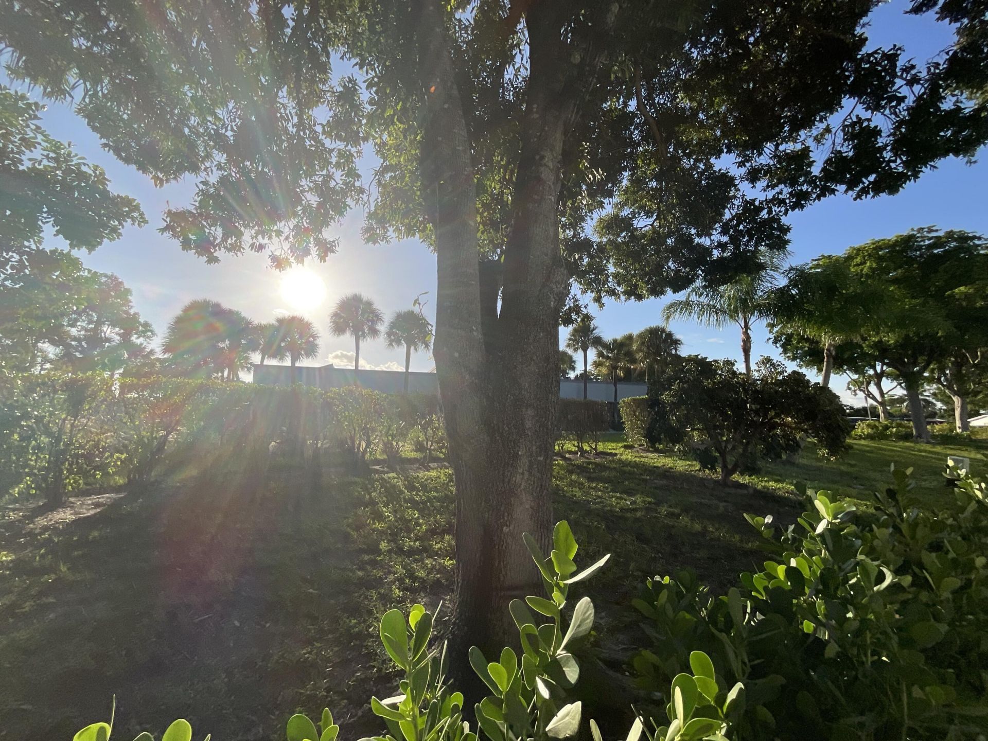 920 Sun Acres Lane, Boynton Beach, FL 33436 Photo