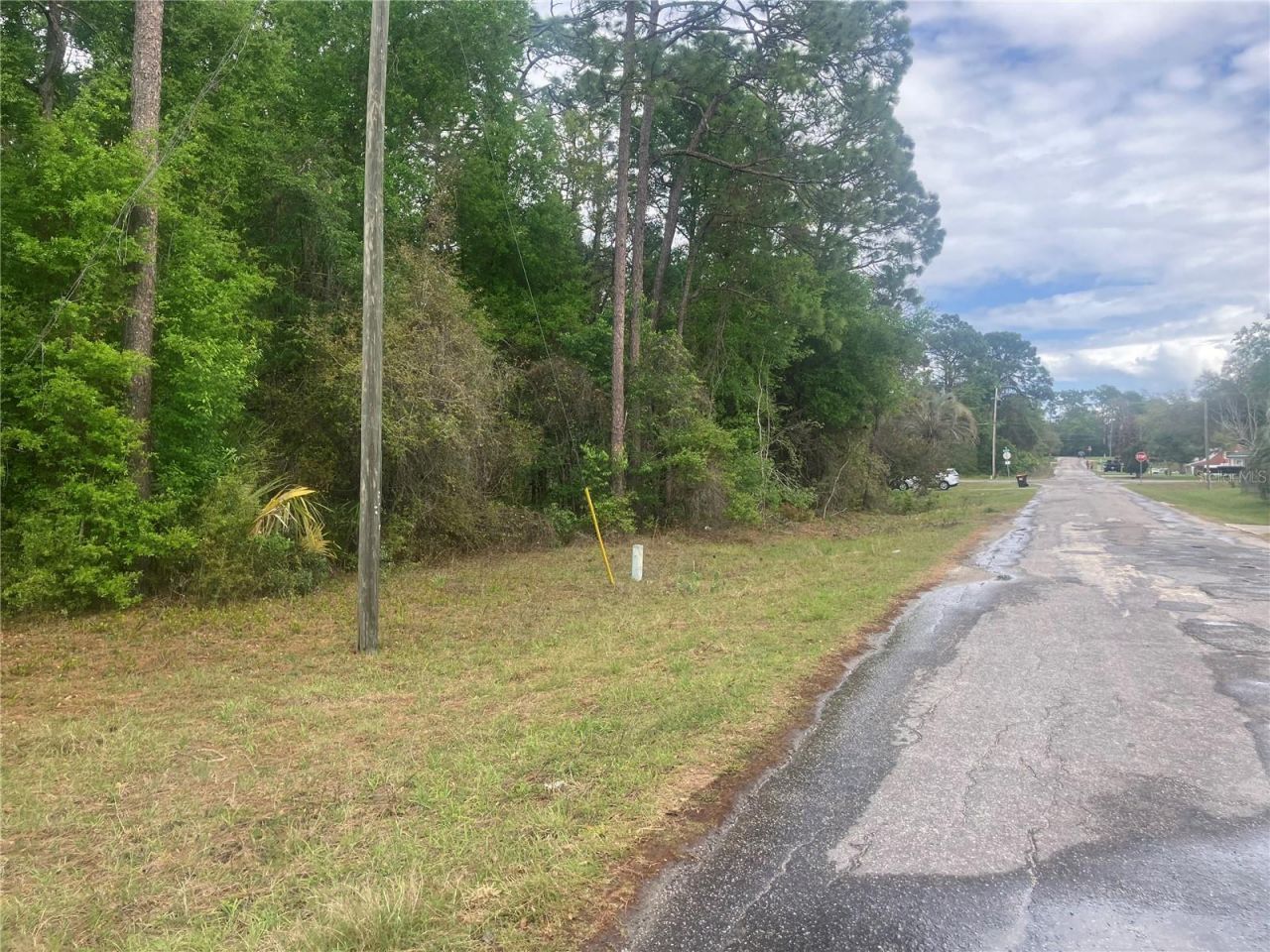 Se 19th Place SE 19th Place, Silver Springs, FL 34488 Photo