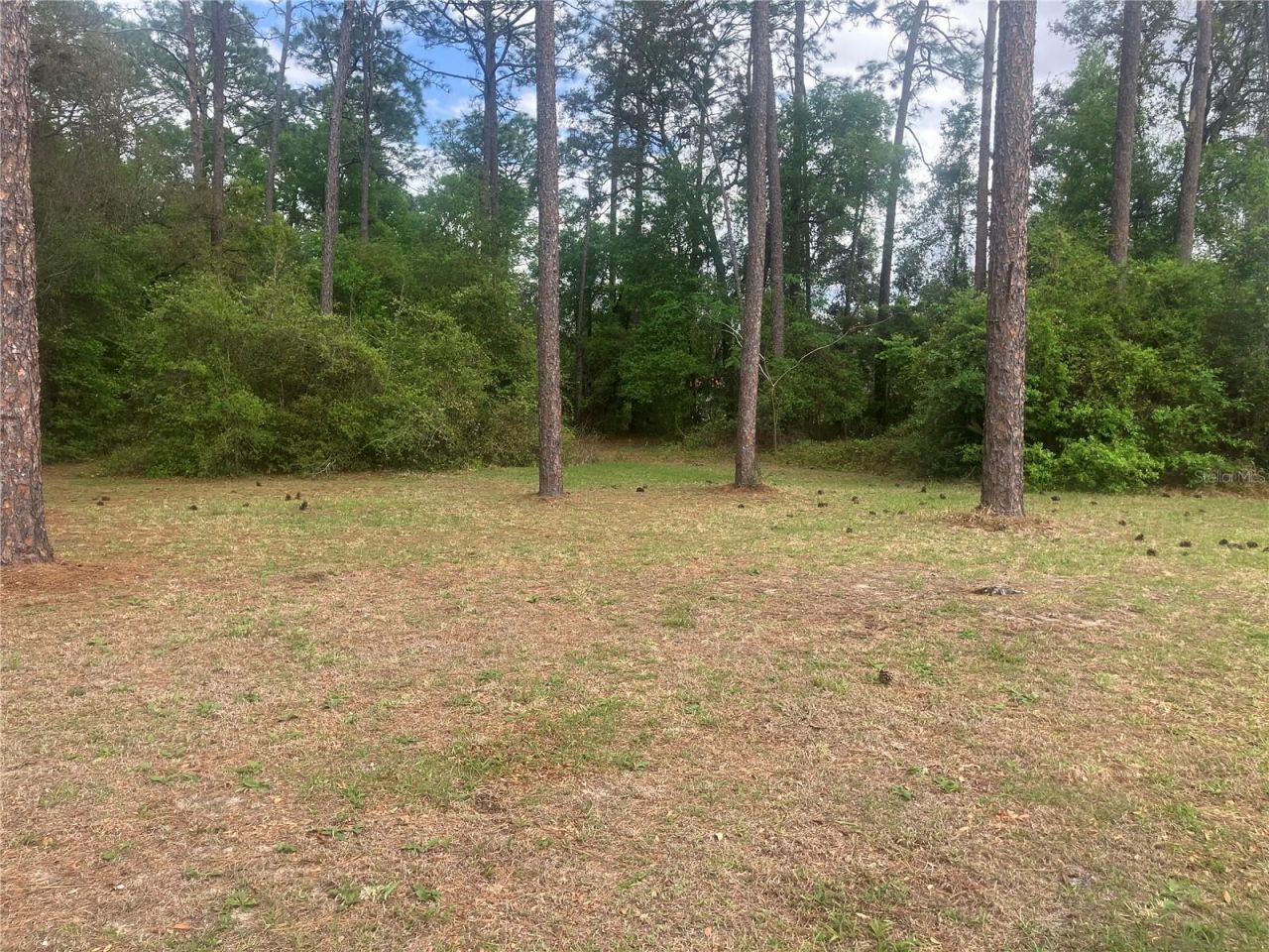 Se 19th Place SE 19th Place , Silver Springs, FL 34488 Photo