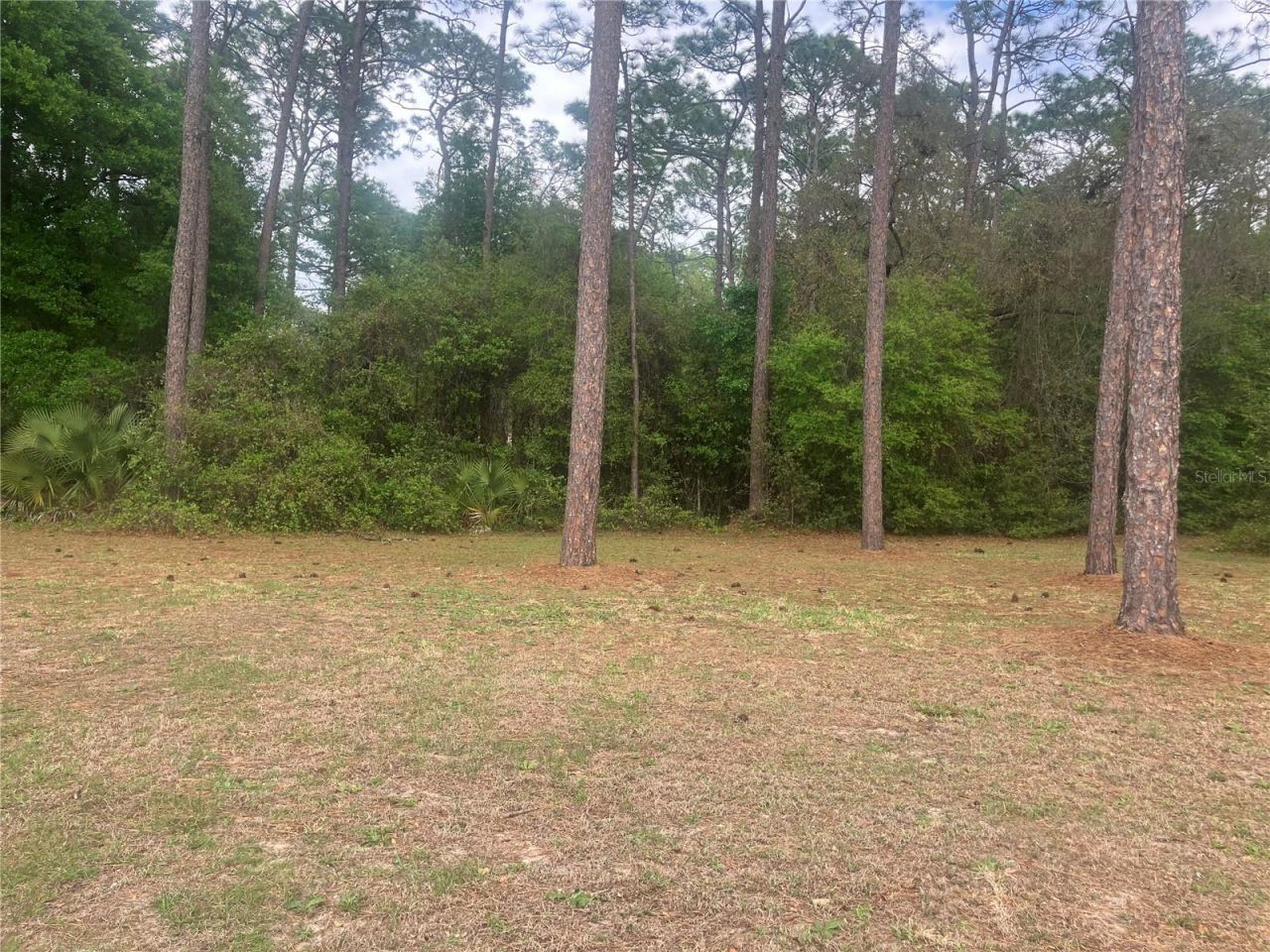 Se 19th Place SE 19th Place , Silver Springs, FL 34488 Photo