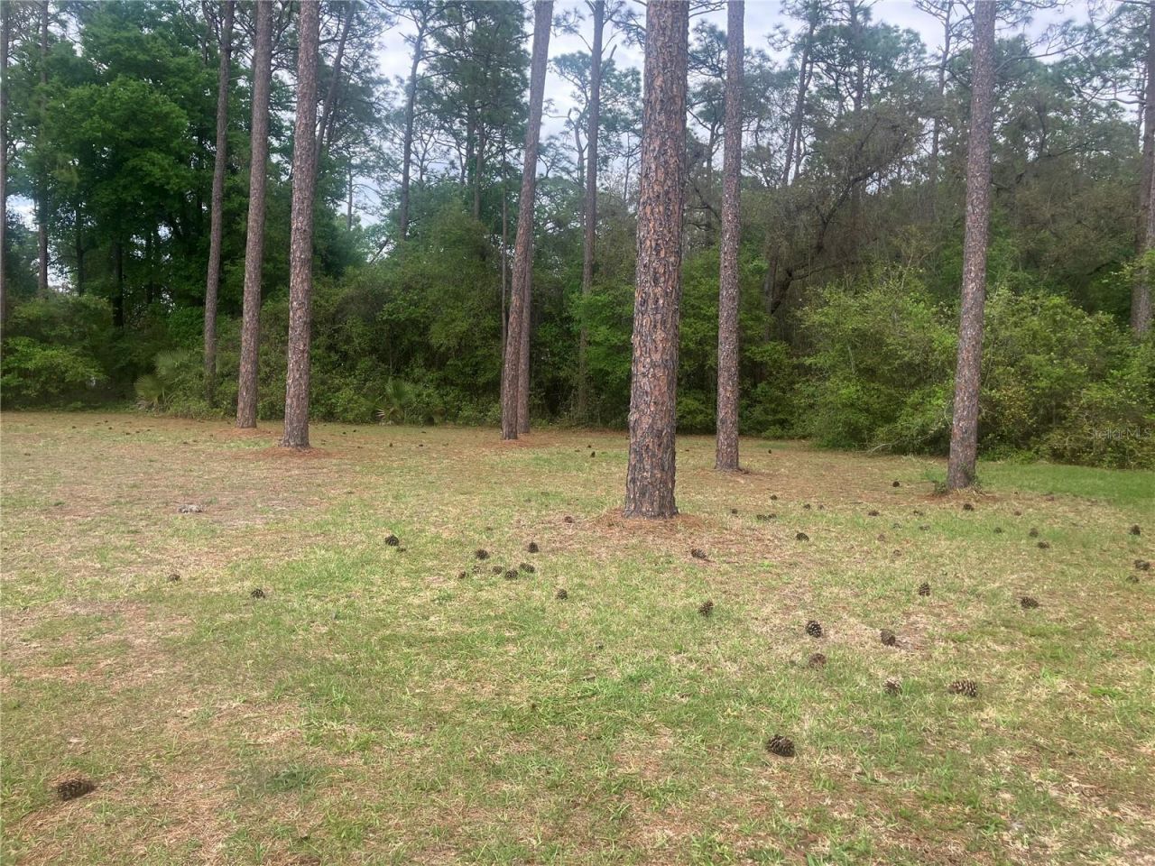 Se 19th Place SE 19th Place , Silver Springs, FL 34488 Photo