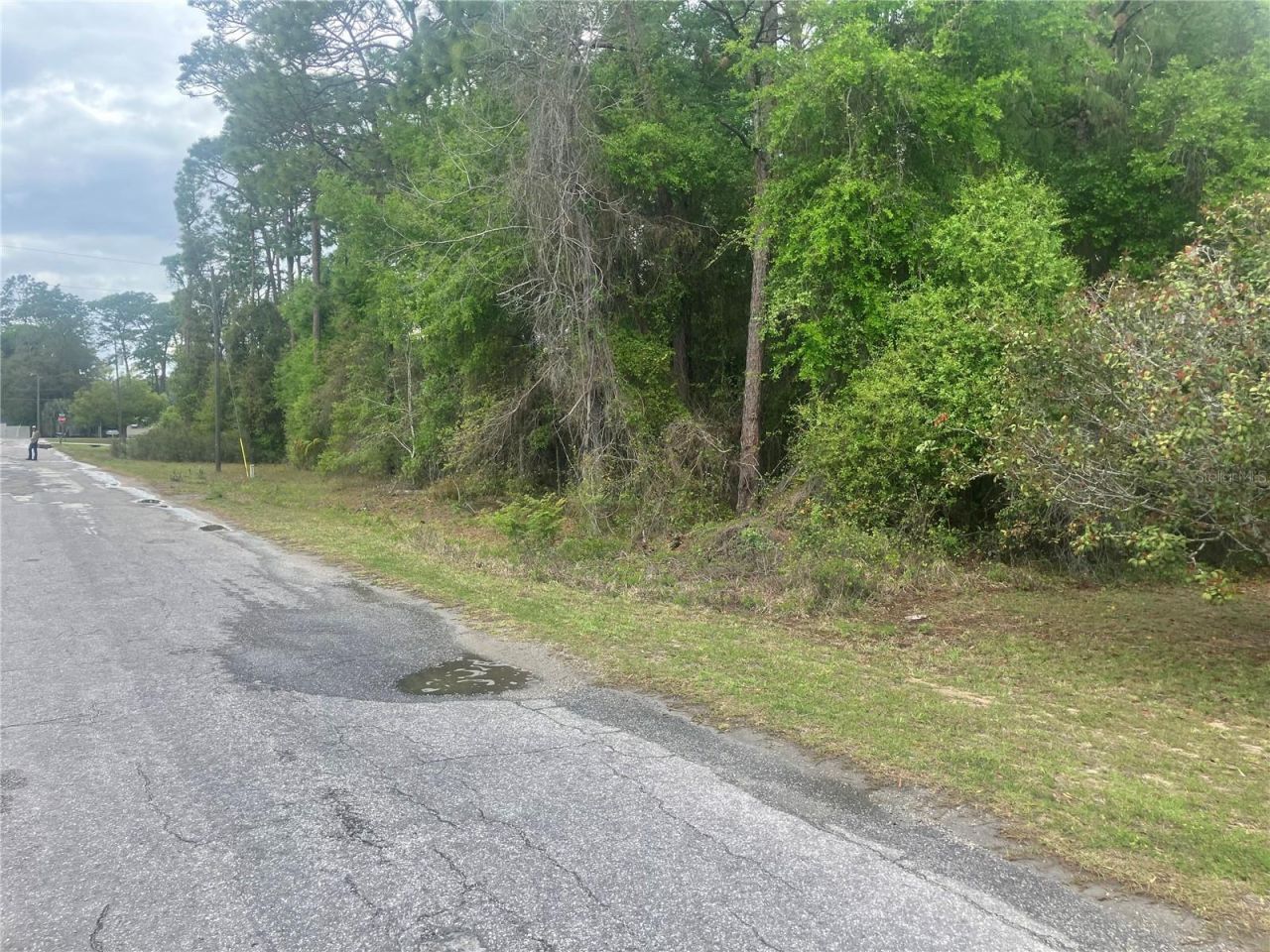 Se 19th Place SE 19th Place , Silver Springs, FL 34488 Photo